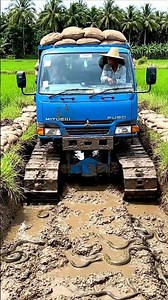 Harvester Vs large SNAKES In Rice Field #Kubota #SNAKE #EEL #harvester #subscribe