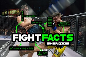 Fight Facts: LFA 80