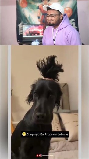Tu chapri🤣#reactionvideo#memereview#trendingmemes#instagrammemes#reels#laughchallenge#hasnamana