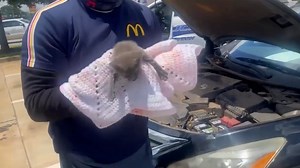 “Help me-ow!” A tiny kitten is crying from under the car … will the police free the stowaway in time? #usatodaypets | USA TODAY