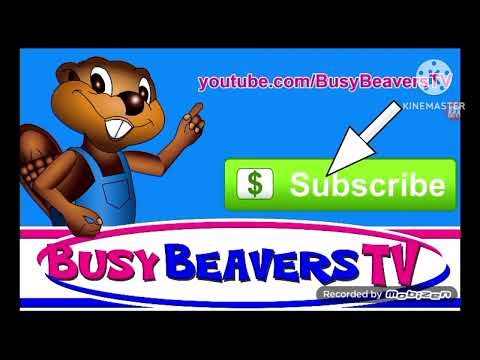 busy beavers clip outro