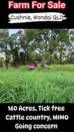 #Cushnie #Southburnett #qldproperty #farmforsale #propertyinvestment #mixedfarming #piggeryfarm #cattlefarm #HayProduction #organicfertilizer | Swift's Ranch