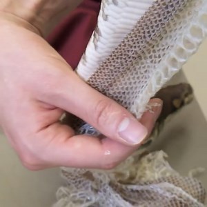 Snake Margaret isn't in her best shape 🐍 At the end there’s a rare treat for Dr Jo and nurse Nathan... Margaret sheds her skin and they find out that snakes can fart! 🤣 | Vet On The Hill