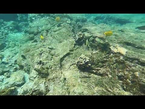 Snorkeling Richardson Black Sand Beach