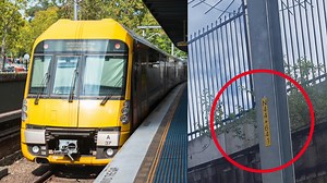 Disturbing footage shows just how dirty Sydney train seats can be