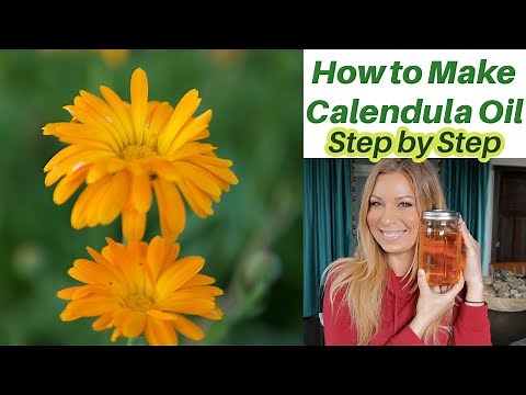 How to Make Infused Herbal Oil, Calendula Oil | EASY & Great for Skin!