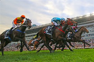 Sha Tin Computer Card - 30th November 2025  