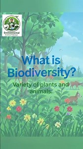 What is Biodiversity – Variety of plants and animals. #environment #animation #planetearth