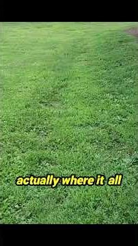 Is Your French Drain Failing? Discover Why! 🚨