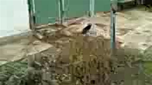 Видео Kit-spaces.ru000 | OK.RU