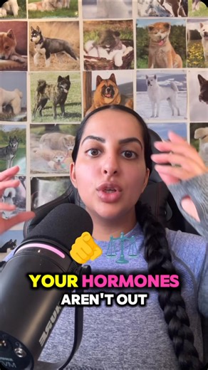 Reets | Online Fitness Coach on Instagram: "Your hormones aren’t “out of balance.” They’re responding to the environment you’re in. Female hormones are designed to fluctuate across the cycle. Estrogen rises and falls. Progesterone does the same. That variation is normal physiology not a problem to fix. When stress is high and recovery is low, the body adapts. That’s when symptoms like low energy, stronger cravings, PMS, mood changes, or disrupted training tolerance start to show up. Not because 