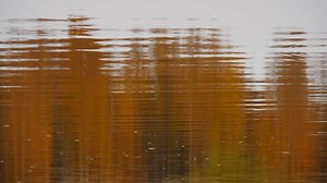 Download autumn abstract background for free