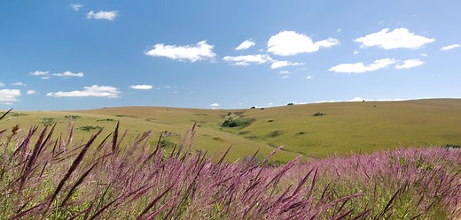 Landscape | Malawi’s Experiences | Malawi Tourism