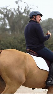 8.9K views · 88 reactions | Do you have a horse with a sticky corner in the ring? Do they spook at the door at the end of the arena EVERY time?  Peter Wylde took some time to share his three key training tools, the first of which is how to help your horse through spooky corners without accidentally reinforcing their fear. To watch the full equestrian masterclass check out Peter Wylde on NF+! You can save 40% on annual memberships until Christmas Eve  | Noëlle Floyd | Facebook