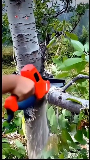 "How to Use a Mini Chainsaw Cordless 6 cm Single Sided Tape"