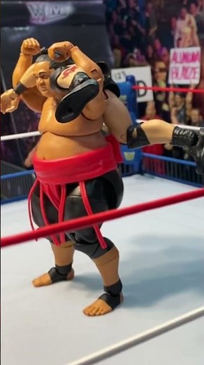 Stone Cold Steve Austin vs Yokozuna SummerSlam 1996 Short