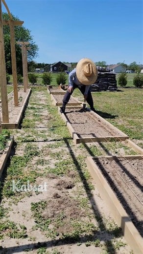 18K views · 149 reactions | Gardening Tip How To Make Shallow Trench For Direct Sowing Seeds ➡️Preparing 7 garden raised bed for sowing flower seeds #gardeningtips #garden #gardenlife #trench #howto #How | Kabsat | Facebook