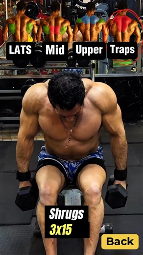 1.9M views · 25K reactions | Back dumbbells Workout.Seated Dumbbells workout target all back muscles.Exercise 1: row emphasize the Lats muscle.Exercise 2: rear Delts raise target the middle back.Exercise 3: rear Delts fly target the upper back.Exercise 4: shrugs emphasize the trapezius.#back #backexercise #row #muscle #gym #bodybuilding #fitness #fyp #foryou | Bodyfitness GYM | Facebook