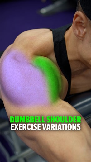 Andrew Kwong | DB Shoulder Exercise Variations (Hit All 3 Delts!) Neutral Grip, Raise Straight in Front (Prone on Incline Bench) Targets the front delts,... | Instagram