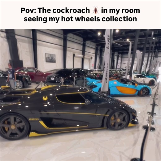 🪳 🪳 🪳 #carriomotorcars #exoticcar #hypercar #bugatti #lamborghini | cars