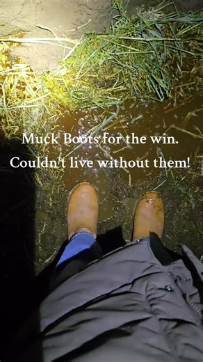 If it rains at all, the whole property turns into a slippery, muddy mess. My last pair of Muck Boots lasted me three years of daily wear during the Fall, Winter and Spring and I finally treated myself to a new pair. @Muck Boot Co. #homestead #smallfarm #farmtok #flowerfarmer #farmlife
