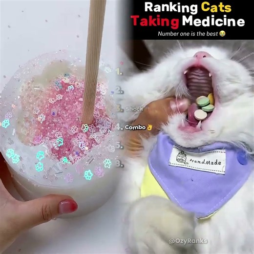 Grading Kitties Swallowing Pills💊 #usa