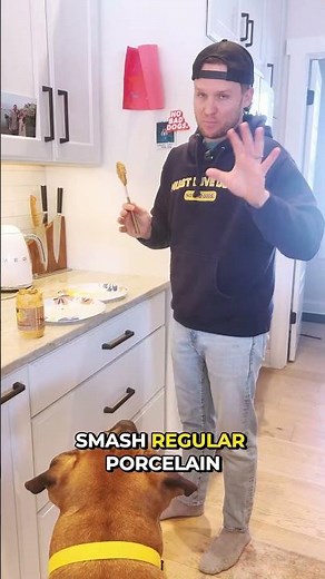 Try this at home 🐶