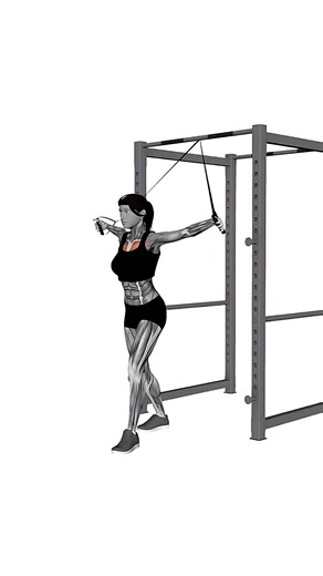 band low chest fly_female.mp4