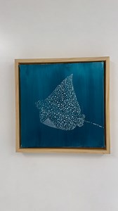 38K views · 440 reactions | UPDATED launch date  22nd Feb, 9am AEST....