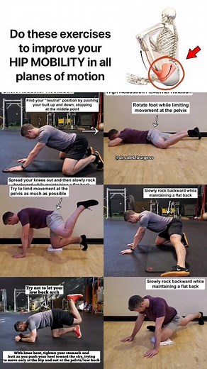 ✅ Comment "𝗠𝗢𝗕𝗜𝗟𝗜𝗧𝗬 𝗙𝗜𝗫" to get my "𝗙𝗢𝗨𝗡𝗗𝗔𝗧𝗜𝗢𝗡𝗔𝗟 𝗠𝗢𝗕𝗜𝗟𝗜𝗧𝗬" and "𝗟𝗜𝗠𝗜𝗧𝗟𝗘𝗦𝗦 𝗠𝗢𝗕𝗜𝗟𝗜𝗧𝗬" programs in my app for your first 𝟳 𝗗𝗔𝗬𝗦 𝗙𝗥𝗘𝗘 💯 In addition to these, you’ll also have access to 𝟭𝟬 𝗳𝘂𝗹𝗹 𝗹𝗲𝗻𝗴𝘁𝗵 𝗽𝗿𝗼𝗴𝗿𝗮𝗺𝘀 and 𝗼𝘃𝗲𝗿 𝟭𝟲𝟬 more routines within 𝟮𝟱 categorized sections covering the whole body for only $𝟵𝟵 for the whole year ($𝟴.𝟯𝟯/month)! ----- 💥Hip Mobility💥 ⁉️ Tight hips? Try out these moves! 🦵🏼 The hip is