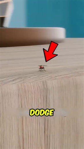 Can a Fly REALLY Dodge a Bullet The Truth Will Shock You