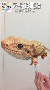 今、紙風船は丸くない自由な形にふくらみます！日本の伝統工芸が最新のペーパークラフト技術で進化した「アート紙風船」は色々な動物達がふくらみます📷#紙風船 #アート #フトアゴヒゲトカゲ