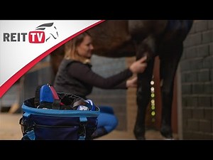 Horse care: Grooming horses - Yvonne's grooming routine