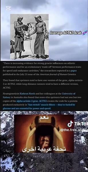 Understanding Arab Muscle Genes and Their Strength