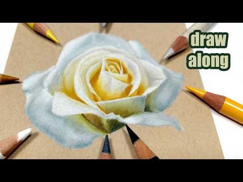 Color pencil drawing on tan toned paper: Step by step rose drawing tutorial