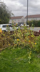 Stringcleans This is what happens when you comment on Katie stringers raffle!! .. wtf!! Was gonna put raffle on but good job I didn’t | Erika Marie Grzona