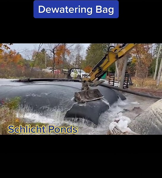 Schlicht Ponds on TikTok