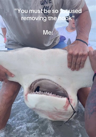 💃Me💃 #fish #fishing #shark #sharks #sharkfishing | shark fishing