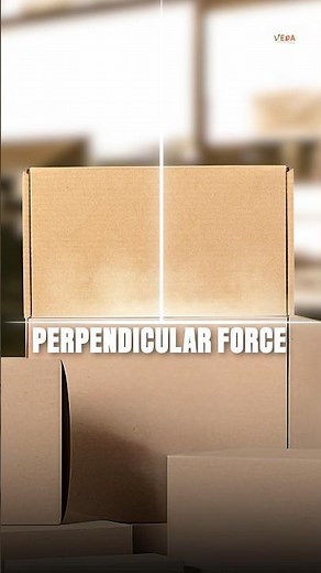 What is normal reaction force? #physics #learning #facts