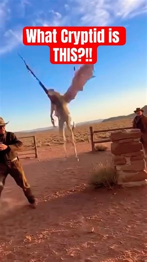 SHOCKING Cryptid Caught on Camera in the Desert 😳👀 | Real Creature or Hoax?