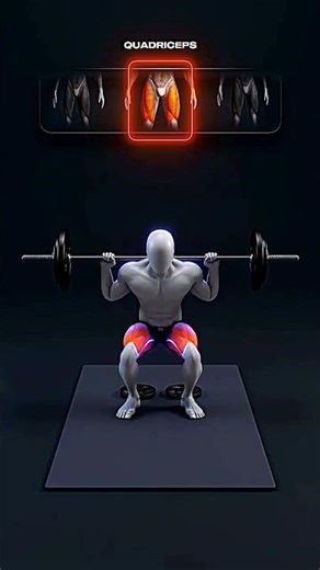 “Target Your Outer Quads! 🔥 Best Squat Variation for Vastus Lateralis”