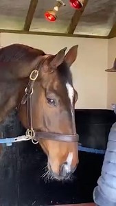 4.5K views · 1.3K reactions | BEHIND THE SCENES – 24 year old Rose...