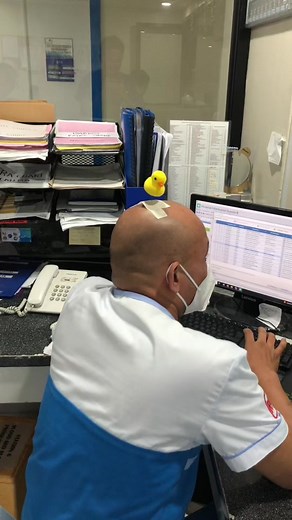 Funny Duck Compilation Video