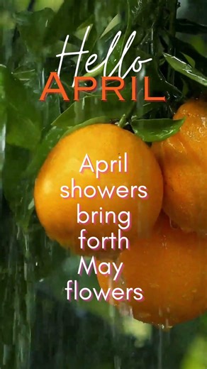 Hello April 🌧️Showers help the 🌺 flowers