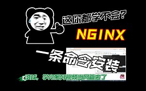 这还学不会？一条命令实现Ubuntu非编译安装Nginx，学完我就去当网管去了