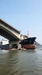 2.2M views · 16K reactions | Bulk ship making factory dry dok fact 樂朗樂 #viralreel #fact #reel #short #earpiercing @highlight Fact Machine Fact Factory Daily Fact Fact Machine Fact Master Fact video Fact Ka Adda Fact Mine Fact Ki Duniya Fact video FACT INFO Fact World Fact N Fun 4 u Fact Point Fact Planet Fact Market Fact Knowledge Fact Tube | Rajabali Ali | Facebook