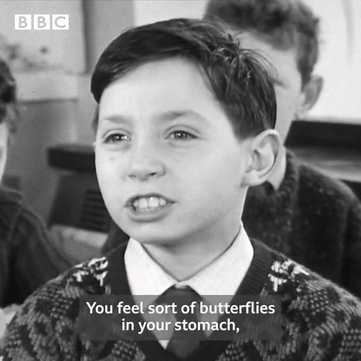 3.1M views · 59K reactions | A little treat for you – In 1967 Belfast kids shared their honest thoughts with Harold Williamson — from losing their temper to feeling guilt, excitement, and even love! | BBC Archive | Facebook