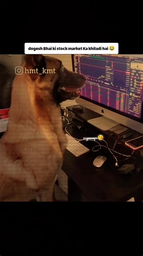 Dogesh Bhai: Stock Market Ka Khiladi