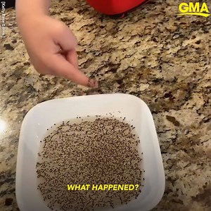 This mom’s germ-repelling experiment wows millions in a viral video! https://gma.abc/39Whx4T Credit: Kelly Rose Sarno | Good Morning America