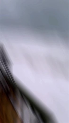 #viral #followers #everyone #fb